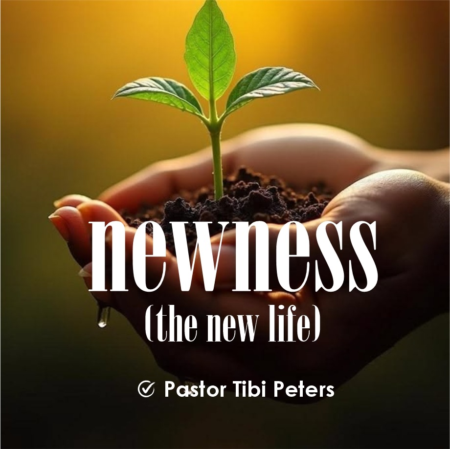 NEWNESS (THE NEW LIFE)