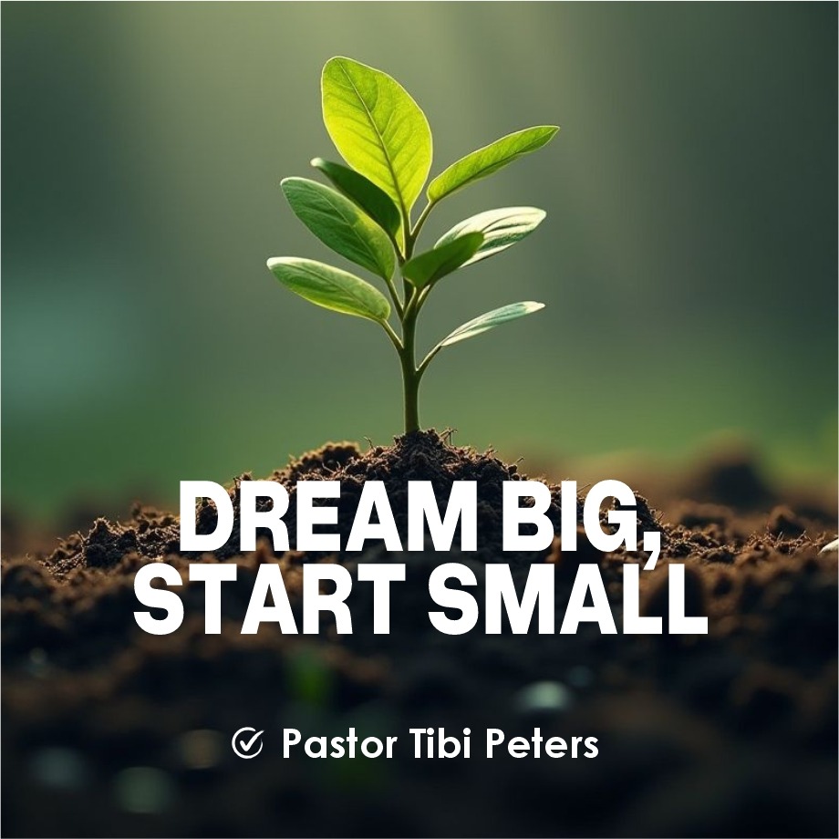 DREAM BIG START SMALL