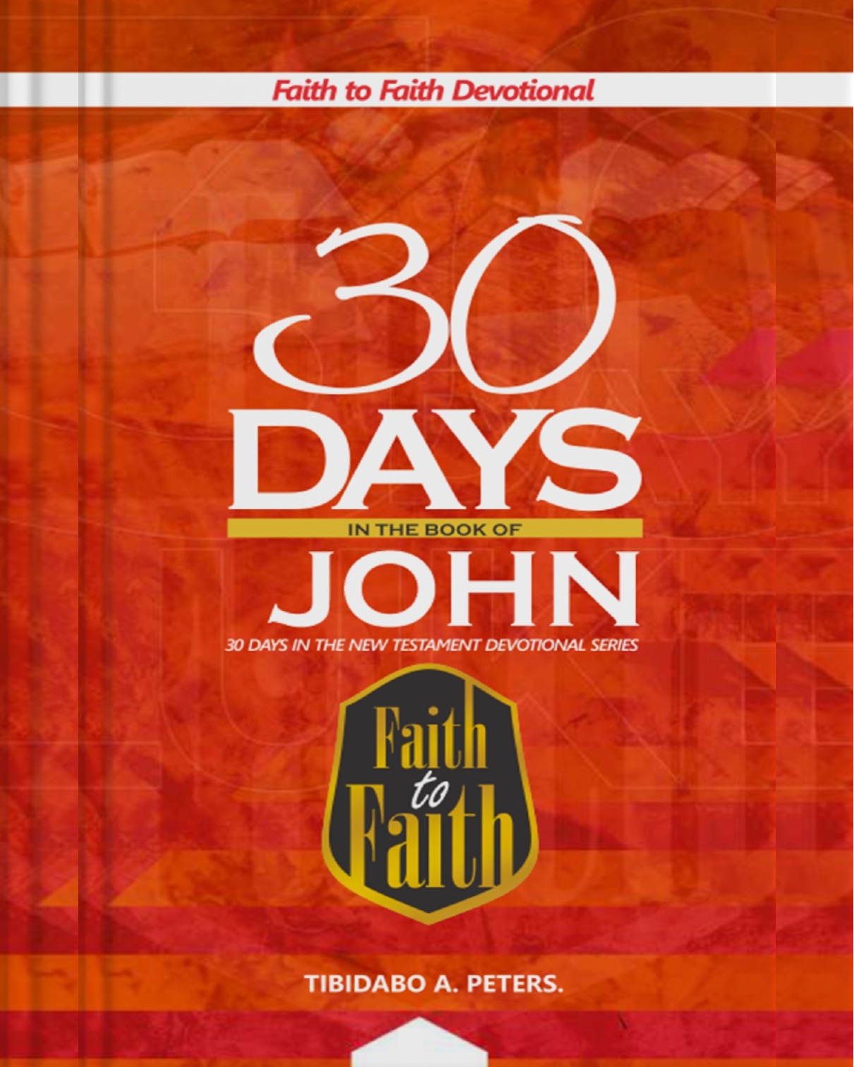 30 DAYS IN THE BOOK OF JOHN