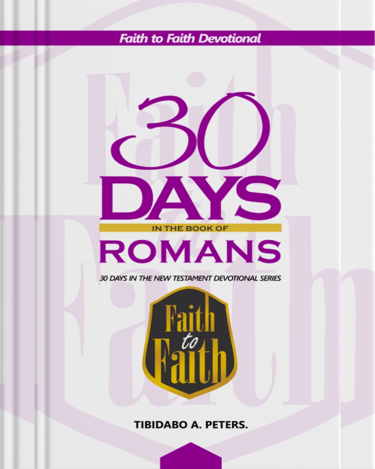 30 DAYS IN THE BOOK OF ROMANS