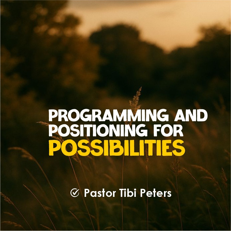 PROGRAMMING AND POSITIONING FOR POSSIBELITIES PST_TIBI_PETERS-1
