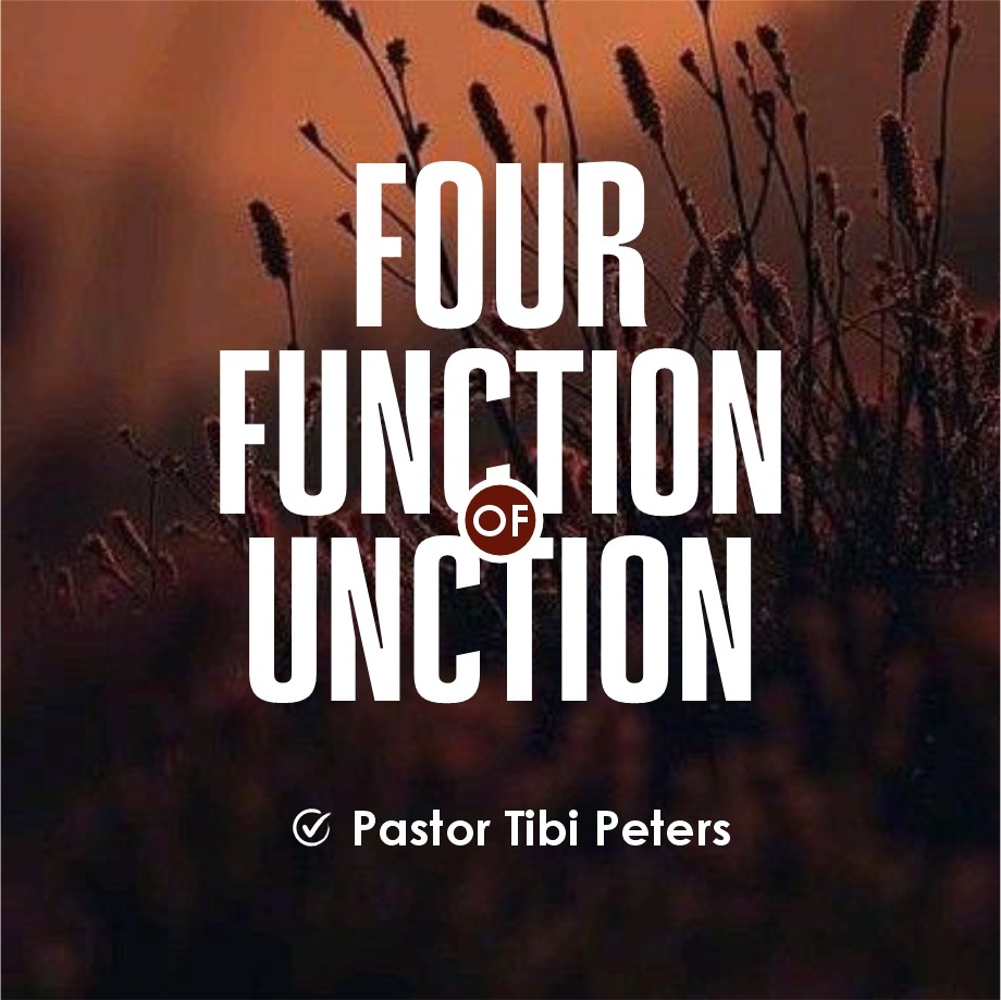 FOUR FUNCTIONS OF THE UNCTION PST_TIBI_PETERS